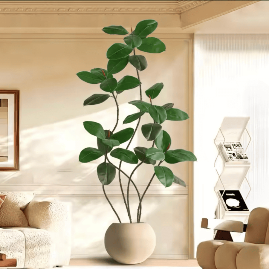 128 Ficus Tree