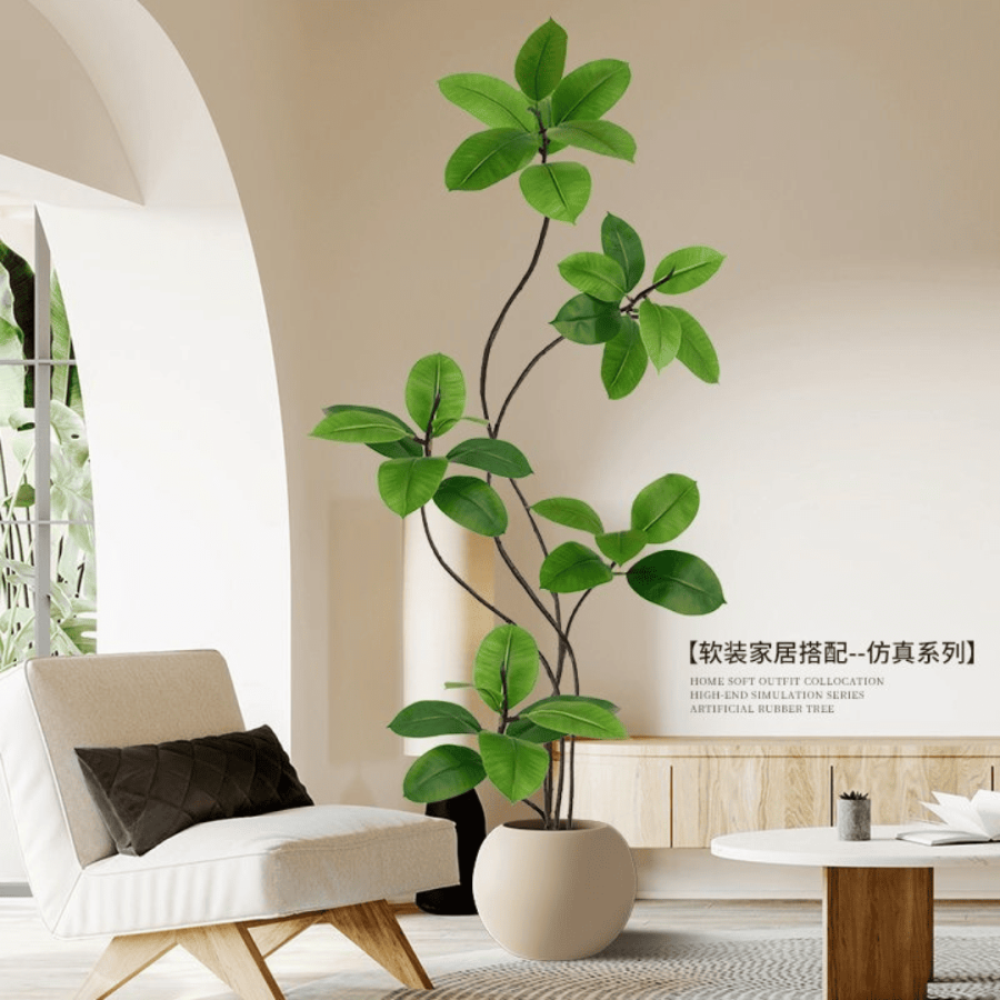 128 Ficus Tree